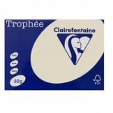Kopierpapier A4 80g grau LasInkOff 500Bl/Pg ECF
